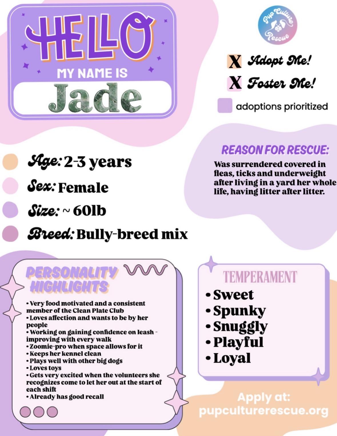 Enlarge Jade, a Adoptable mixed breed in Pasadena, CA image 2/6