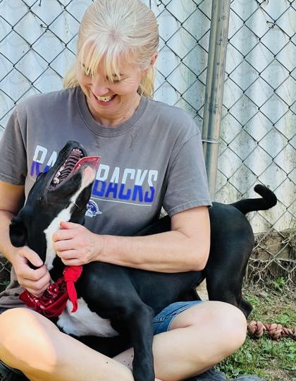 Rango $125, a Adoptable mixed breed in Seneca, SC image 3/3