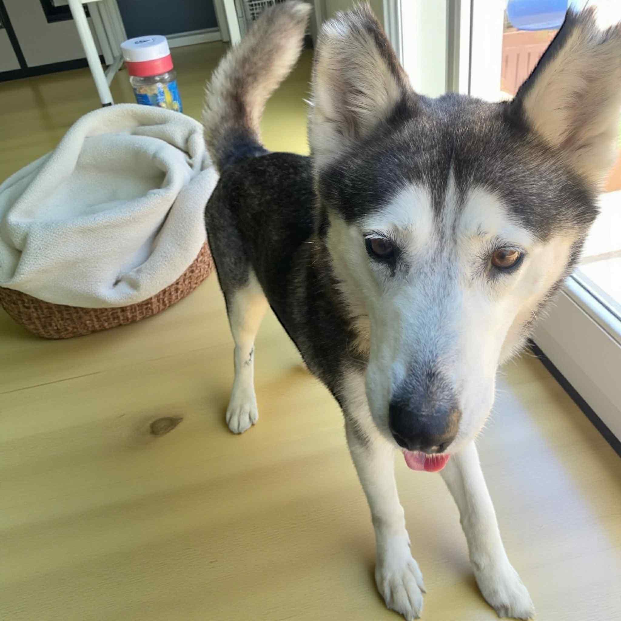 Kathryn — thumbnail 3