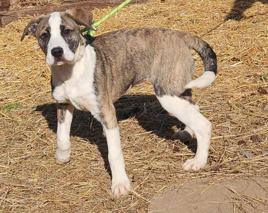 260086 Margot — thumbnail 2