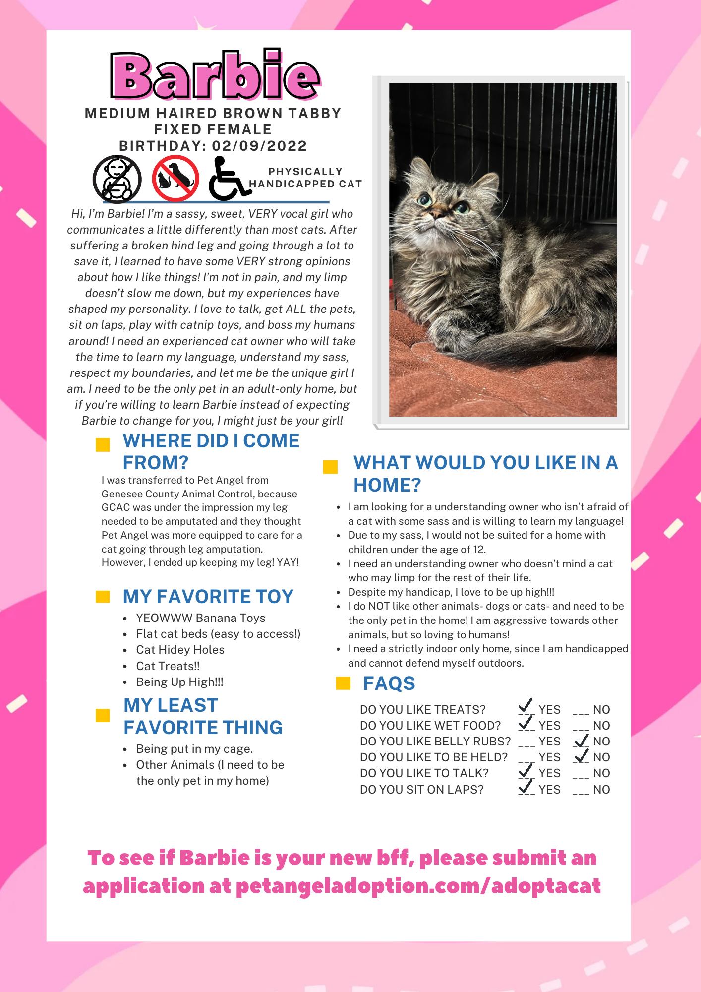 Enlarge Barbie (Handicapped Cat), a Adoptable Domestic Medium Hair in Frankenmuth, MI image 2/6