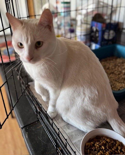 Robert — thumbnail 2