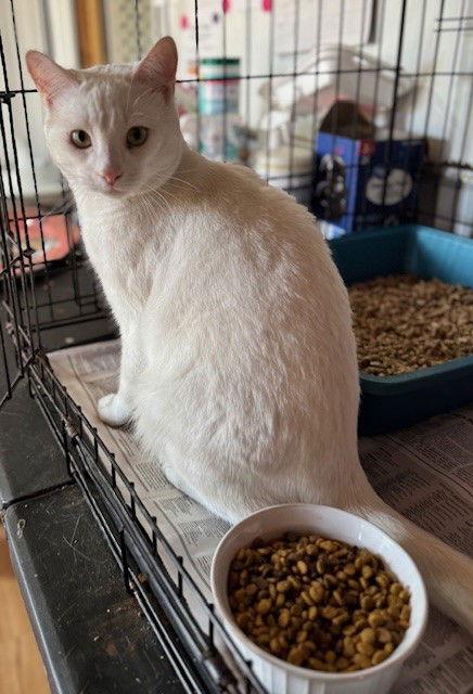 Robert — thumbnail 3