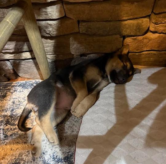 Reba — thumbnail 3