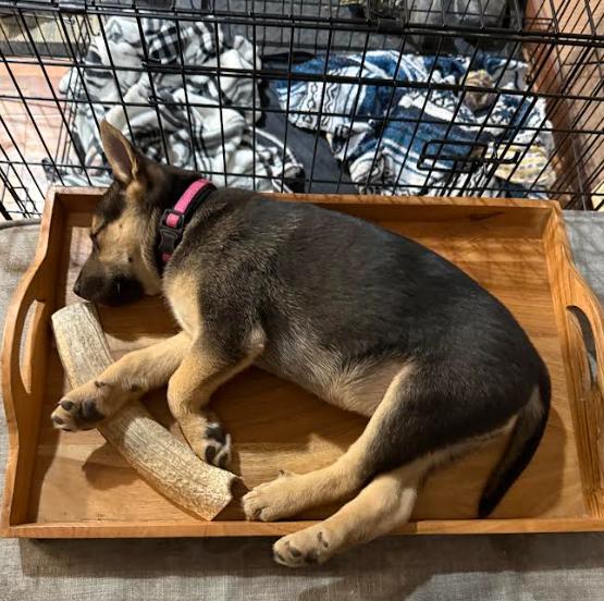 Reba — thumbnail 5