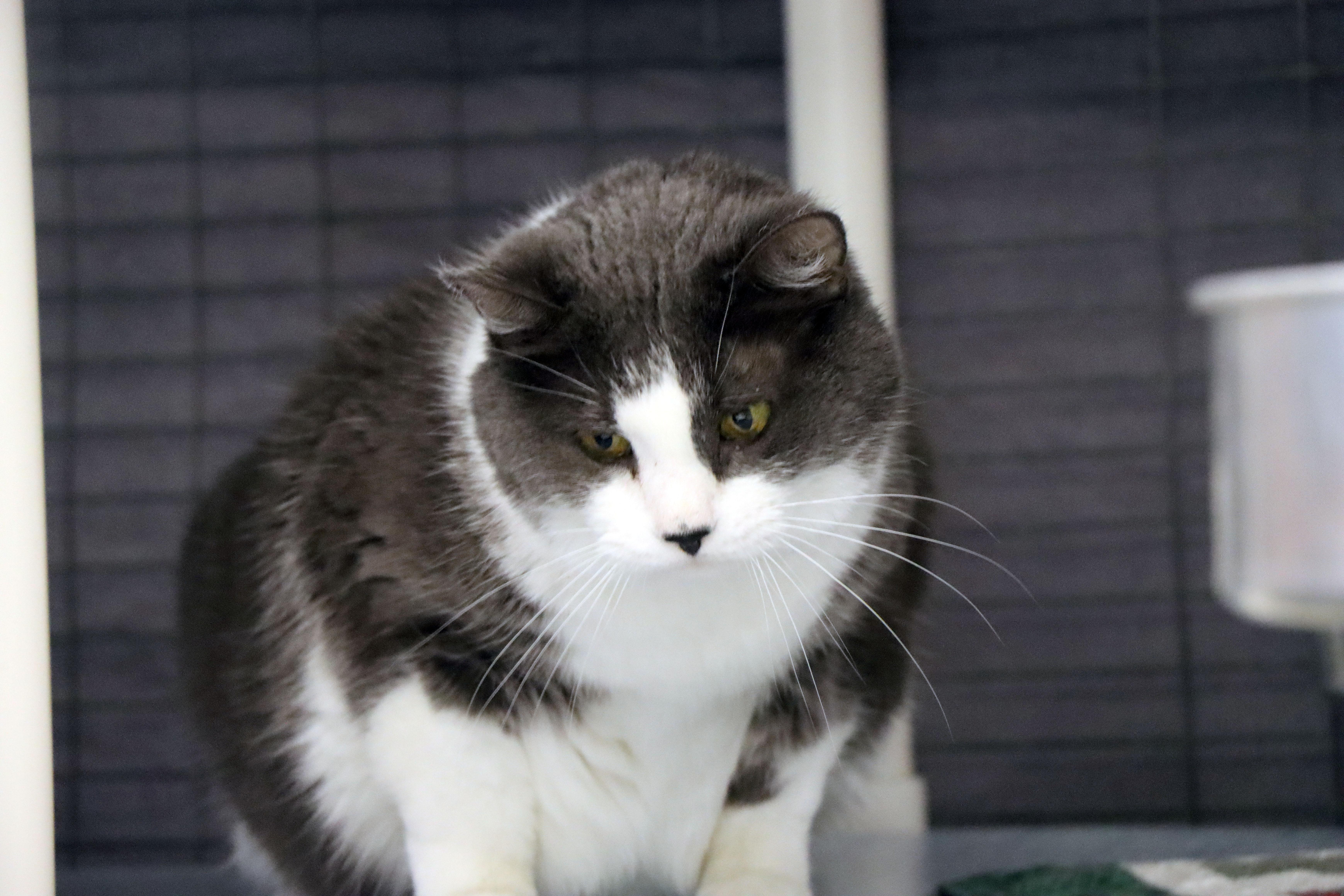 Thelma — thumbnail 2