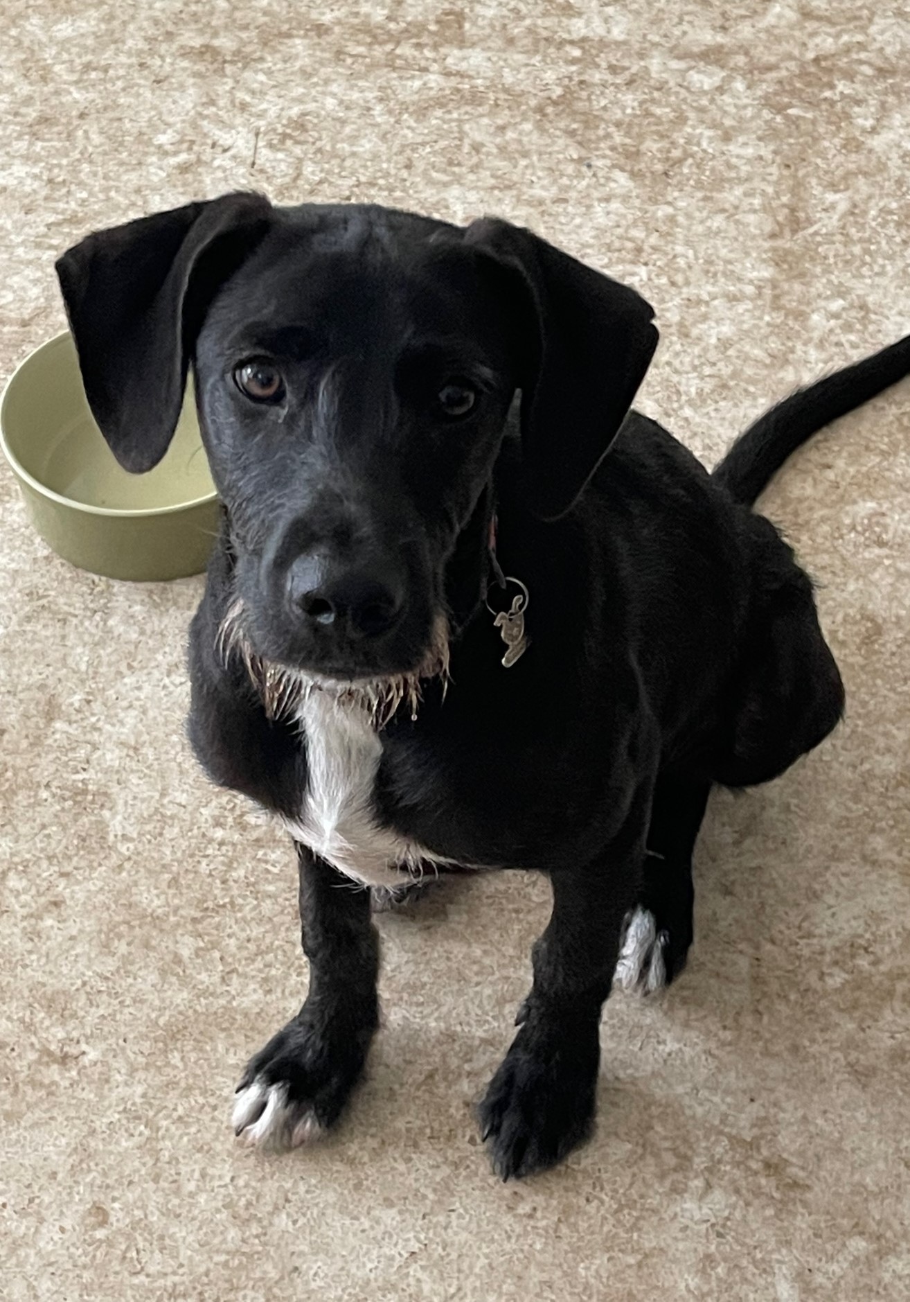 Saved from Mexico!!!