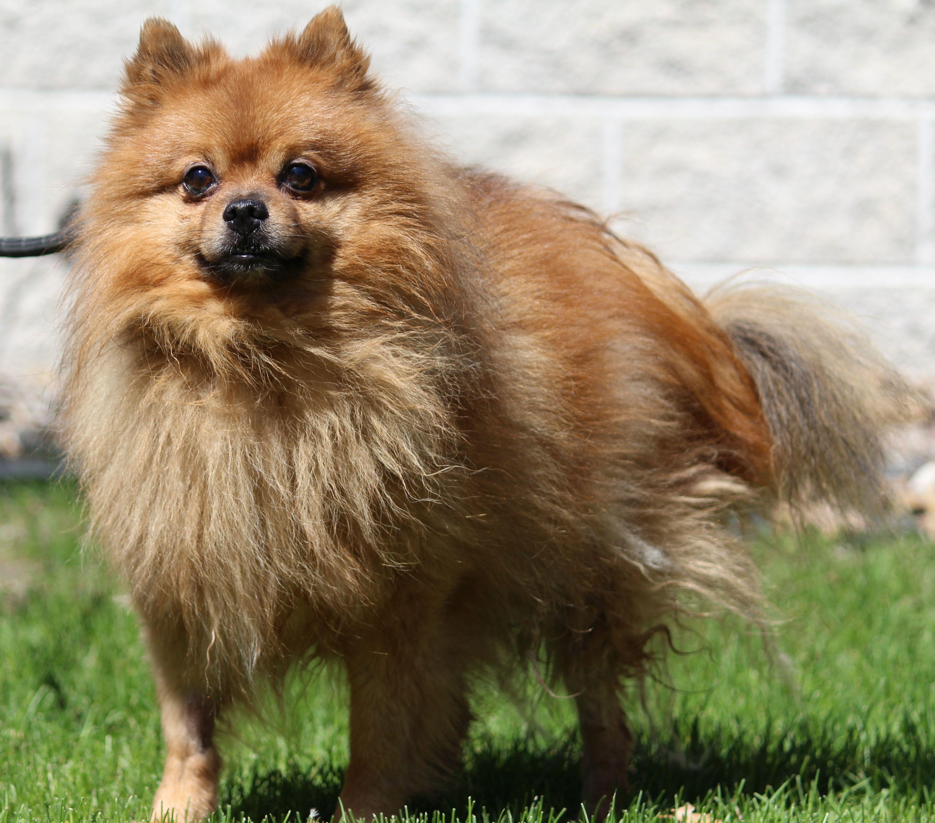 Alvin photo 1