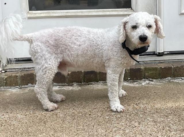 Morgan Bichon