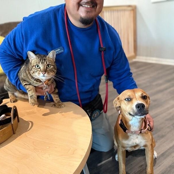 Dottie Sue — thumbnail 3