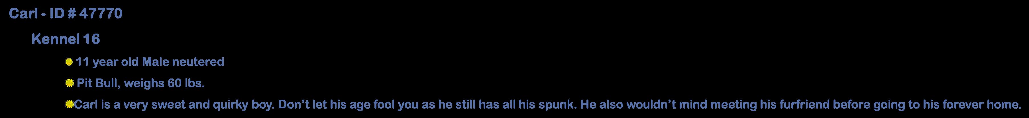 Enlarge Billy, a ADOPTABLE Great Pyrenees in Suffolk, VA image 2/2