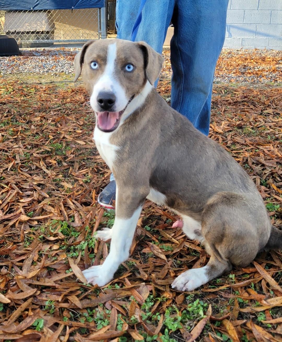 Charlottesville Va Calendar Of Events 