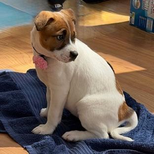 Maryann 22094 — thumbnail 2