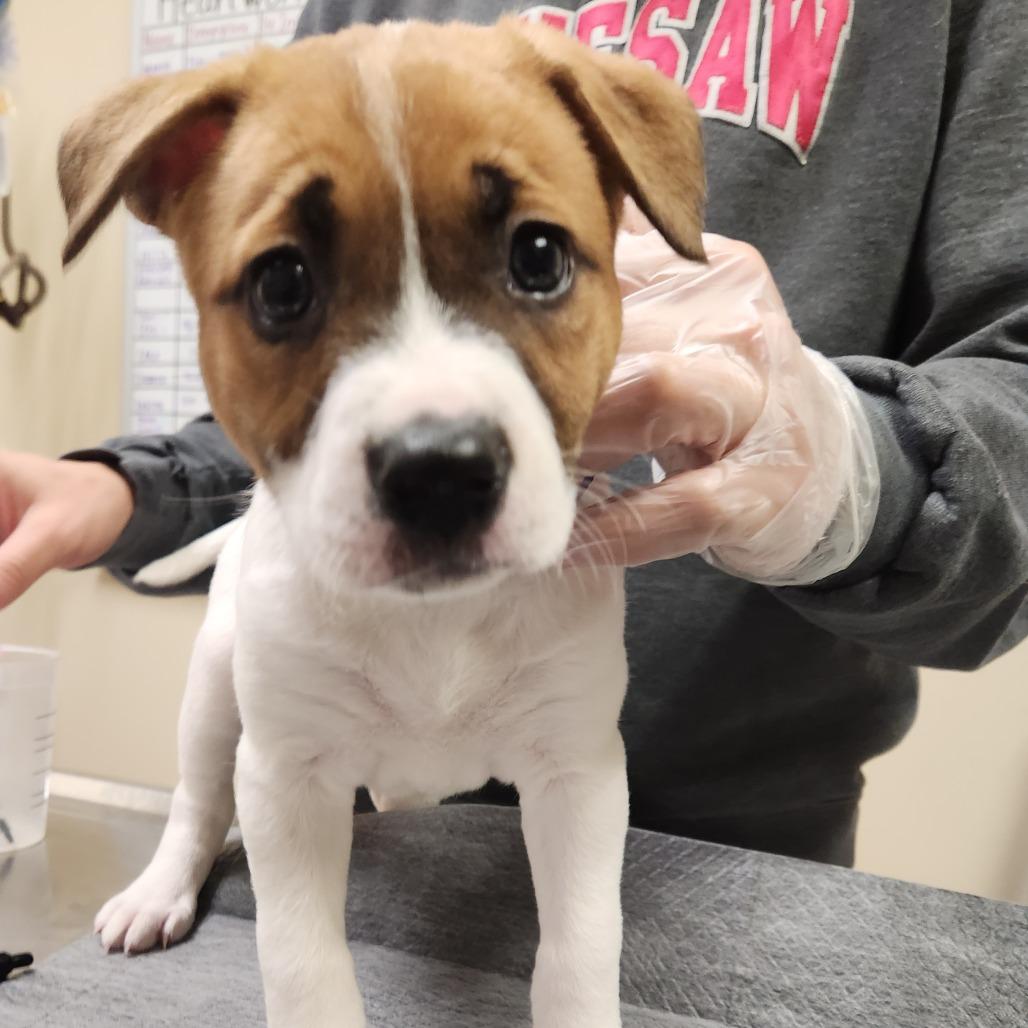 Maryann 22094 — thumbnail 3