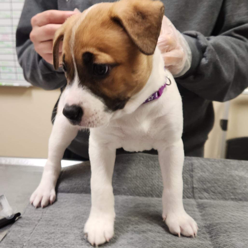 Maryann 22094 — thumbnail 4