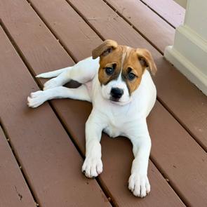 Maryann 22094 — thumbnail 5