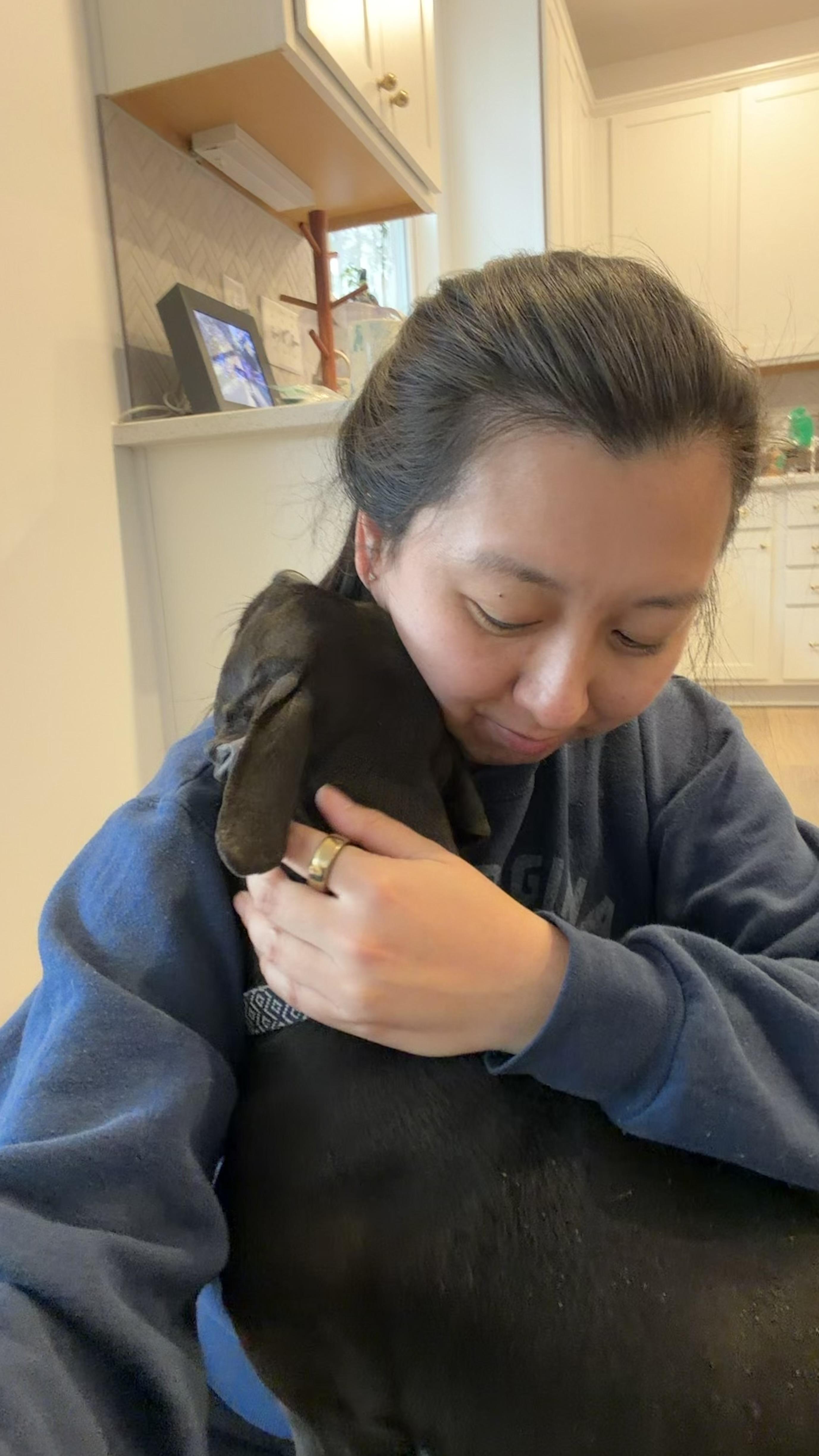 nova, an adopted mixed breed in Cary, NC image 4/5