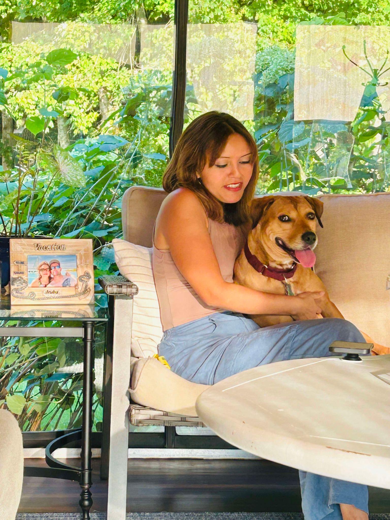 Enlarge Sandy, a Adoptable mixed breed in New Milford, CT image 4/6