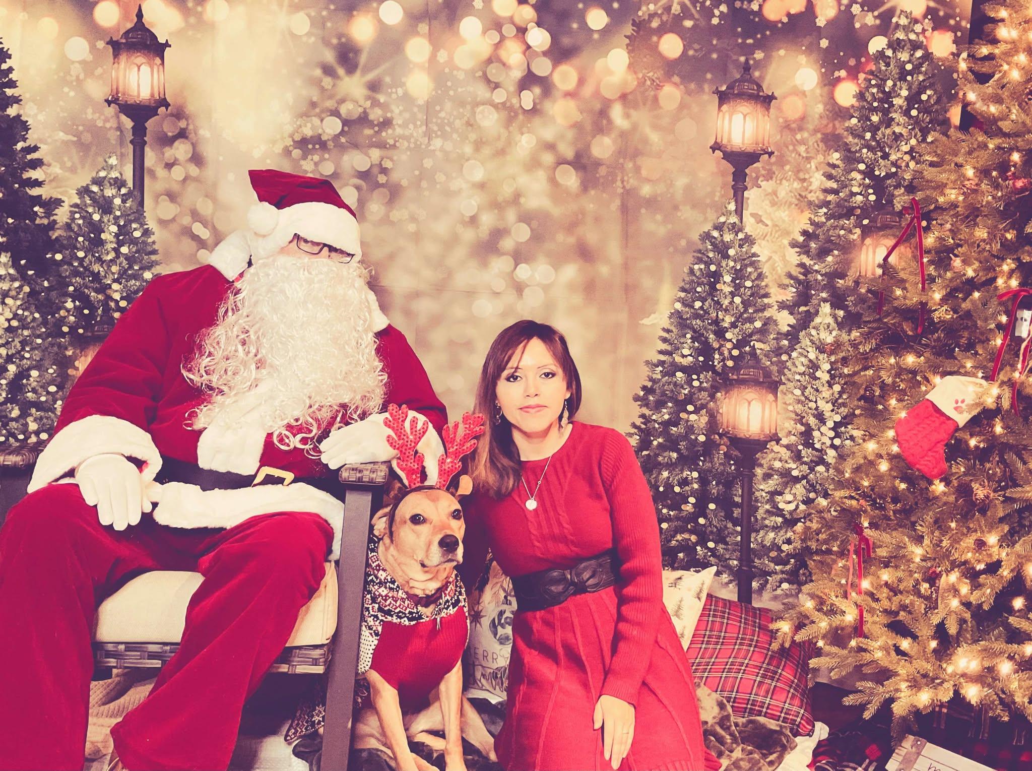 Enlarge Sandy, a Adoptable mixed breed in New Milford, CT image 5/6