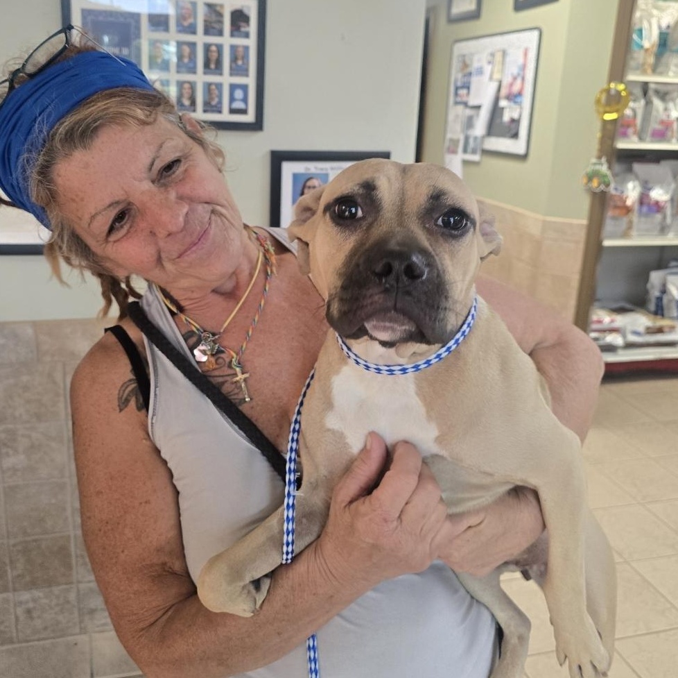 Enlarge Margarita, a Adoptable mixed breed in Kaplan, LA image 2/4