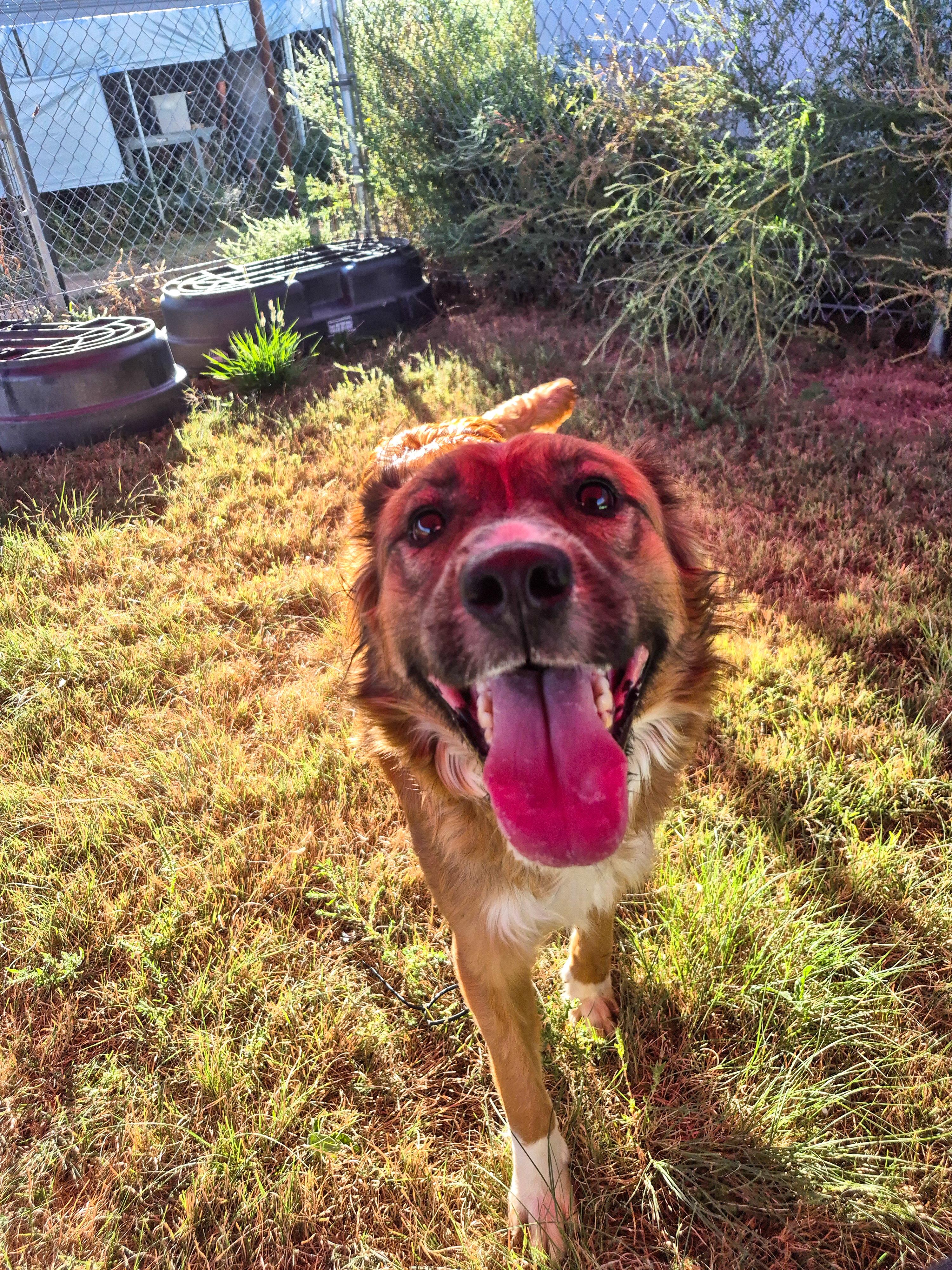 Roberta — thumbnail 5