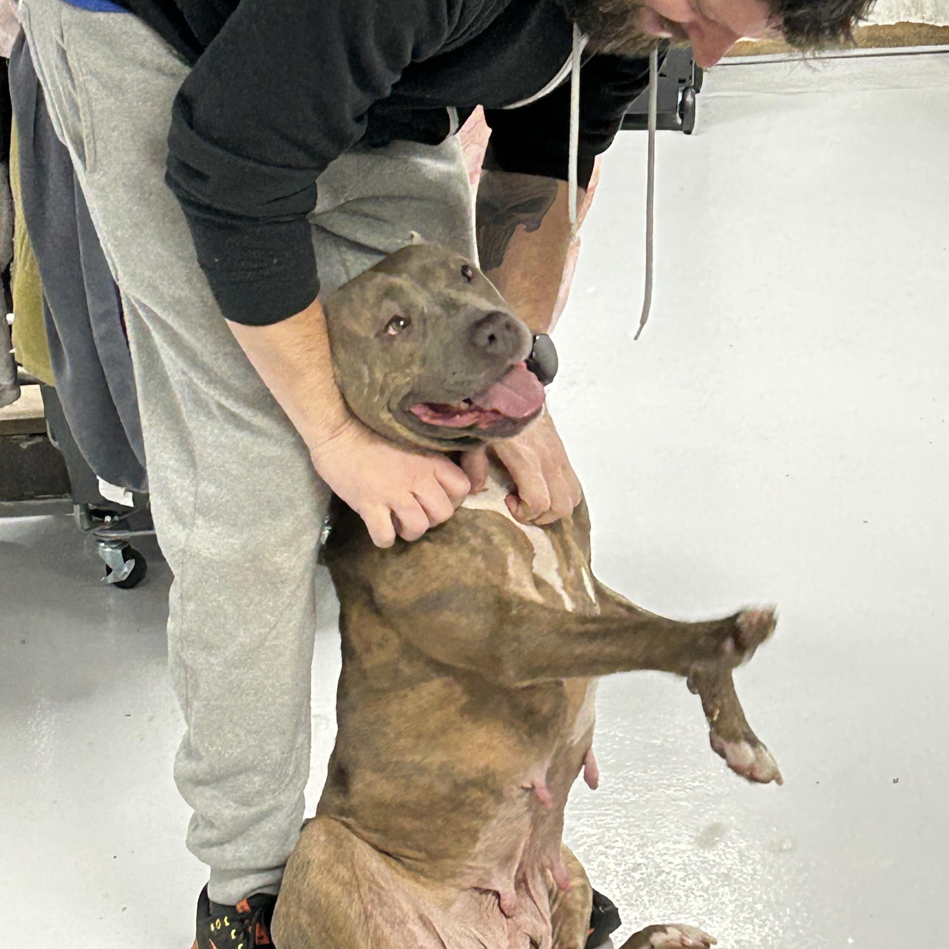 Gia