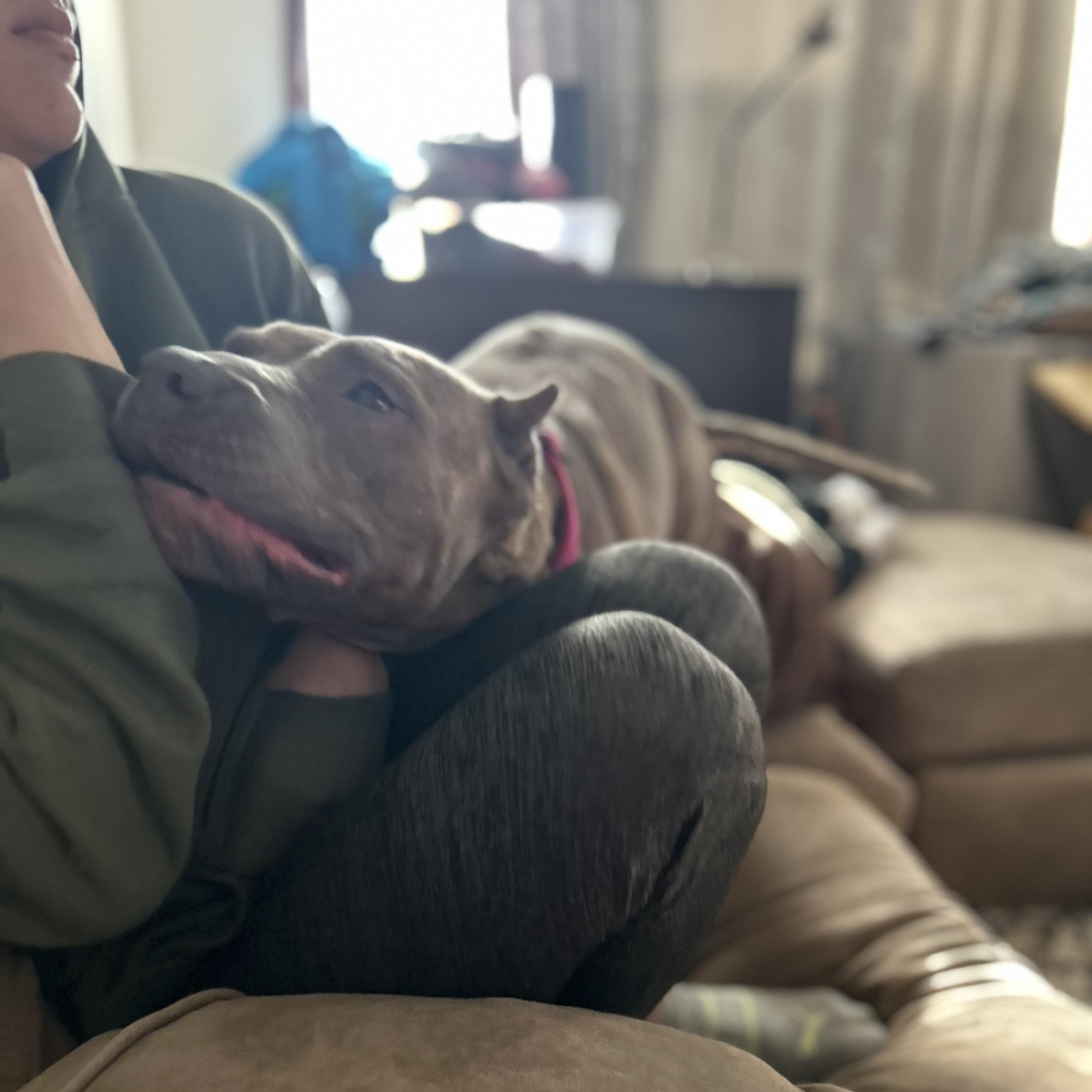 Gia