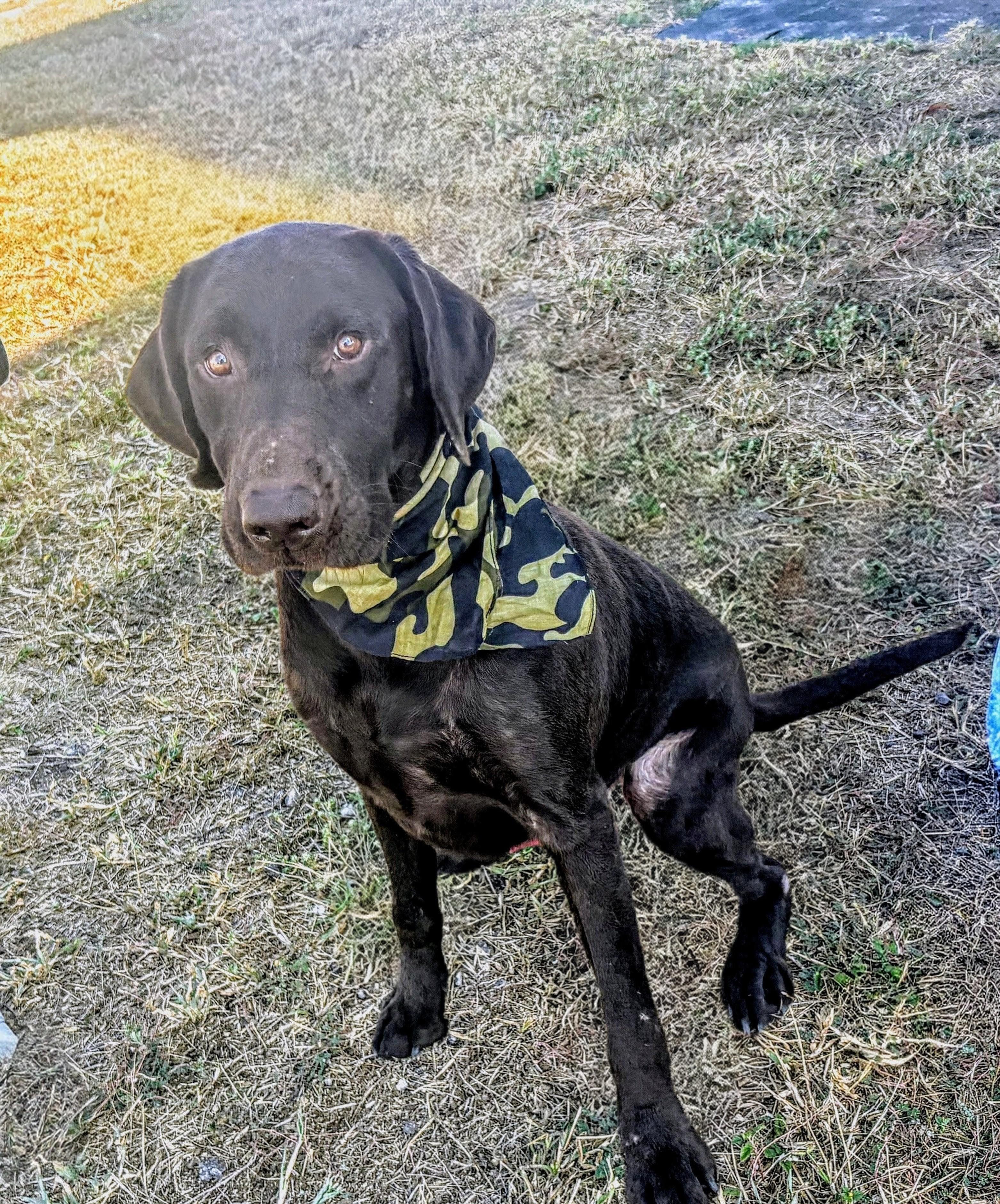 EJ