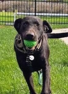 EJ - Fostered in the Hudson Valley,  NY