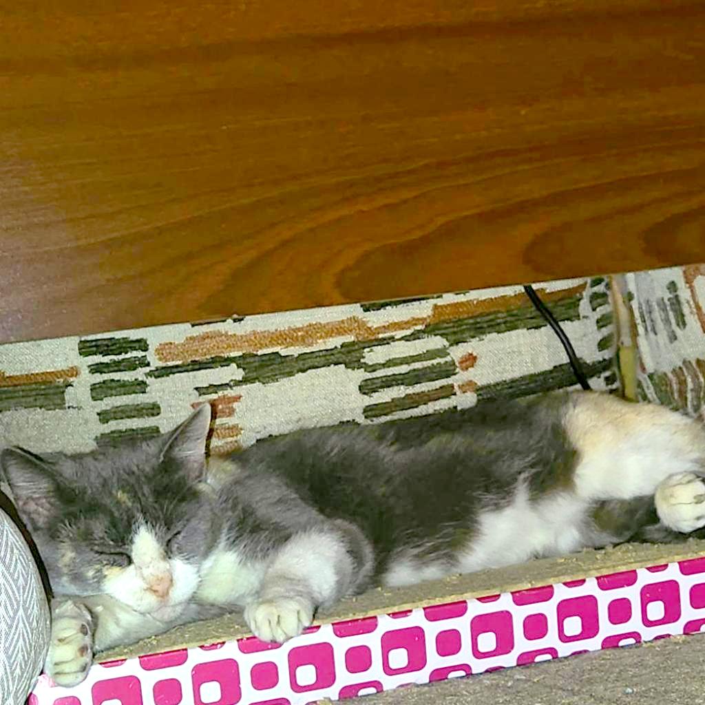 See You Next Time — thumbnail 3