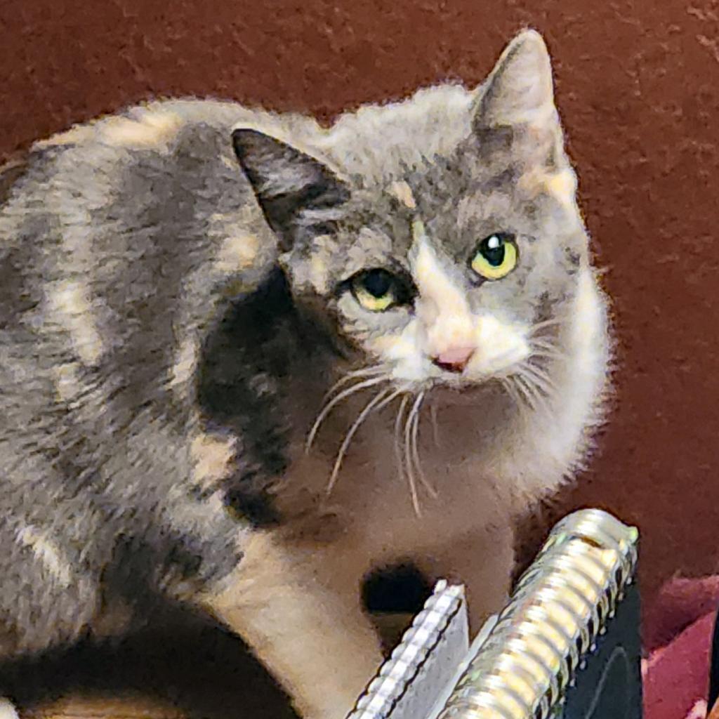 See You Next Time — thumbnail 5