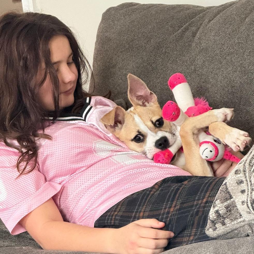 Enlarge OLIVIA., a Adoptable Terrier in Atco, NJ image 5/6