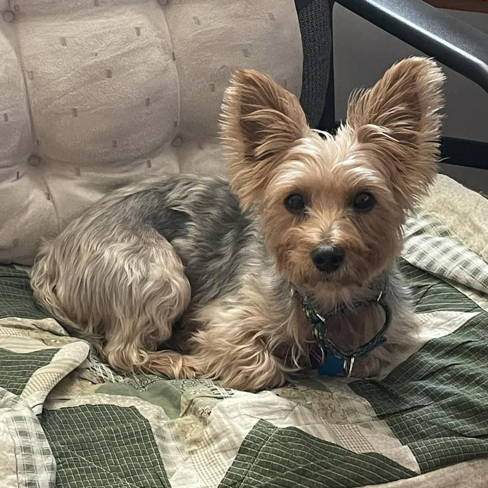 Roxy