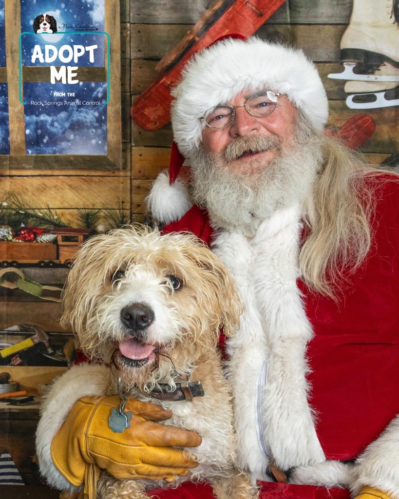 Enlarge Kali, a Adoptable mixed breed in Rock Springs, WY image 1/3