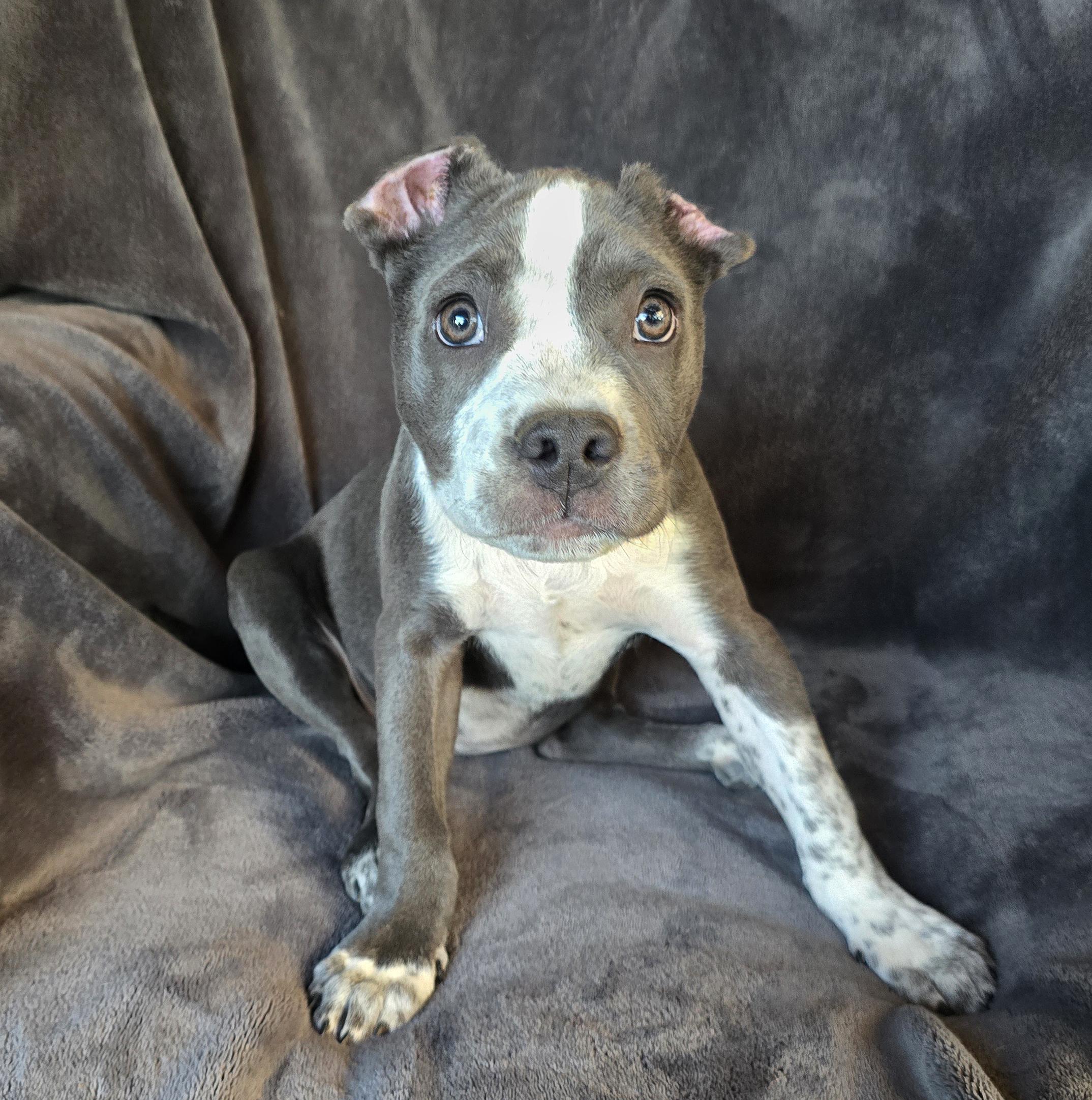 Delightful Ms Deliliah G ~ SWEET !