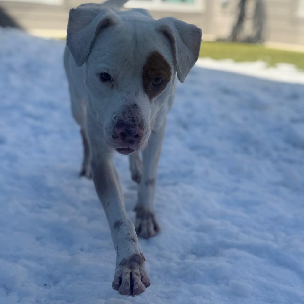 Vern — thumbnail 3