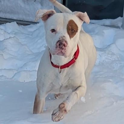 Vern — thumbnail 4