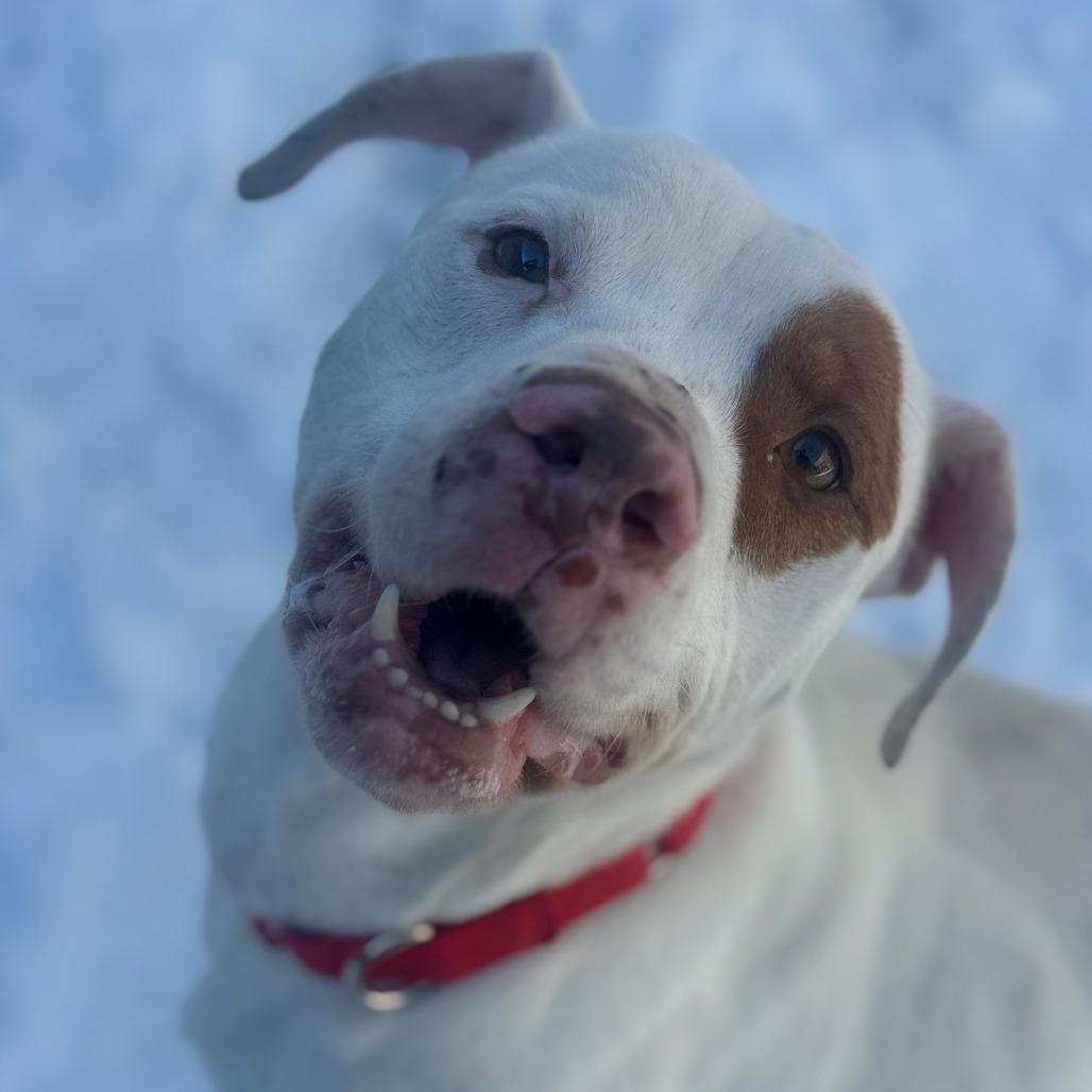 Vern — thumbnail 5