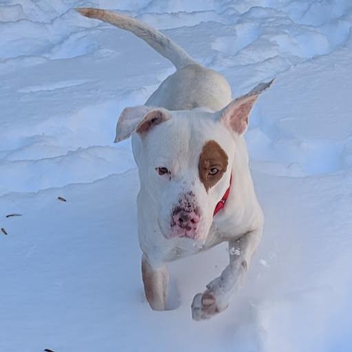 Vern — thumbnail 6