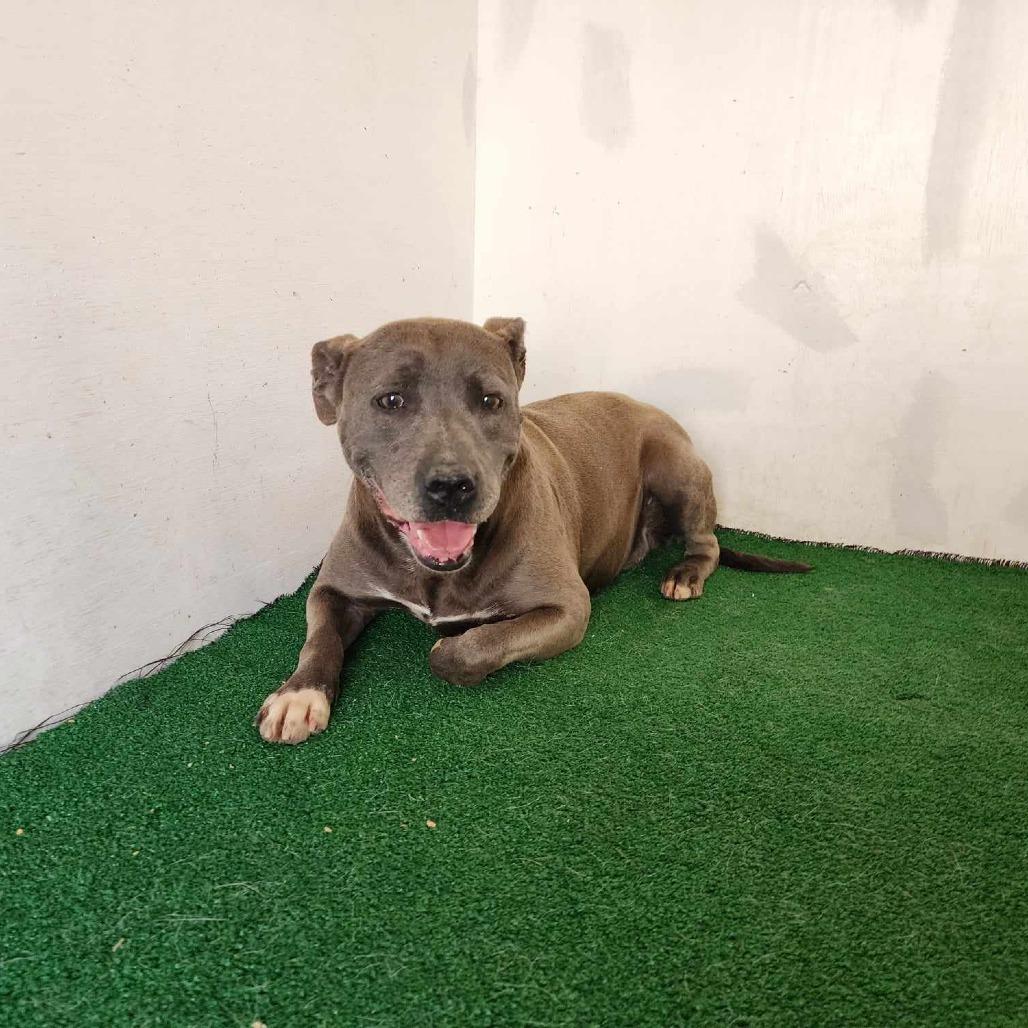 Haven — thumbnail 3