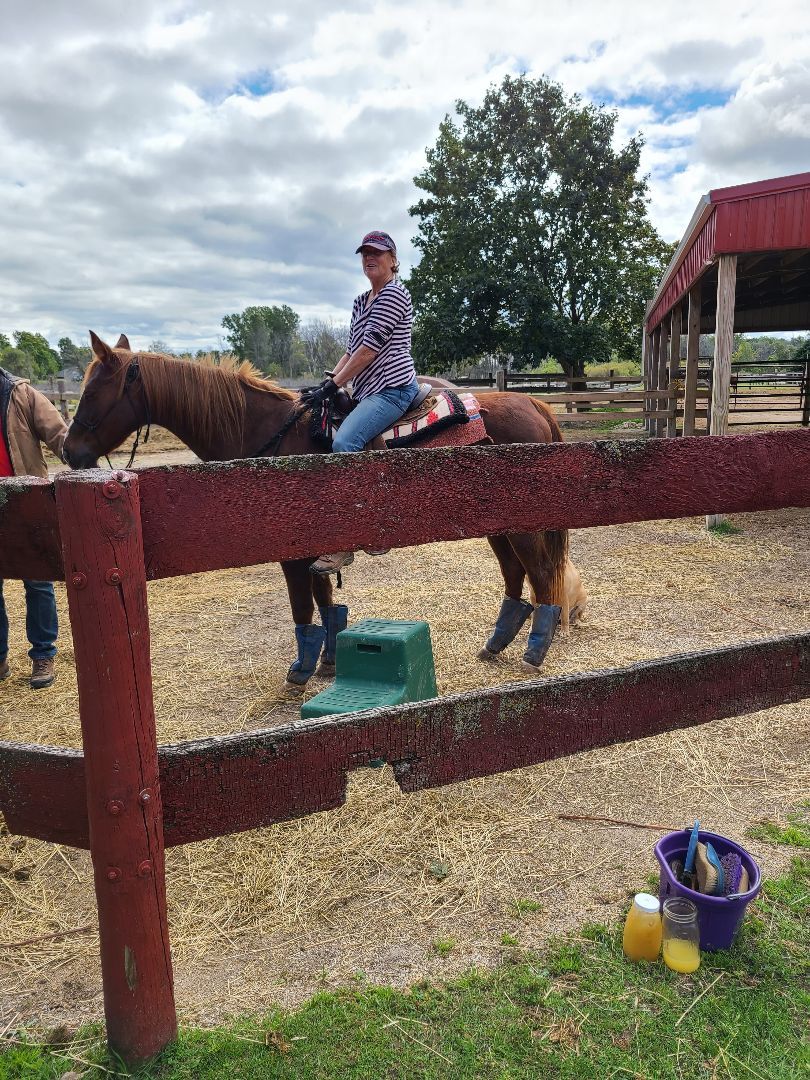 Kate - SPONSORSHIP ONLY, a Adoptable Saddlebred in Elkhart Lake, WI image 4/12
