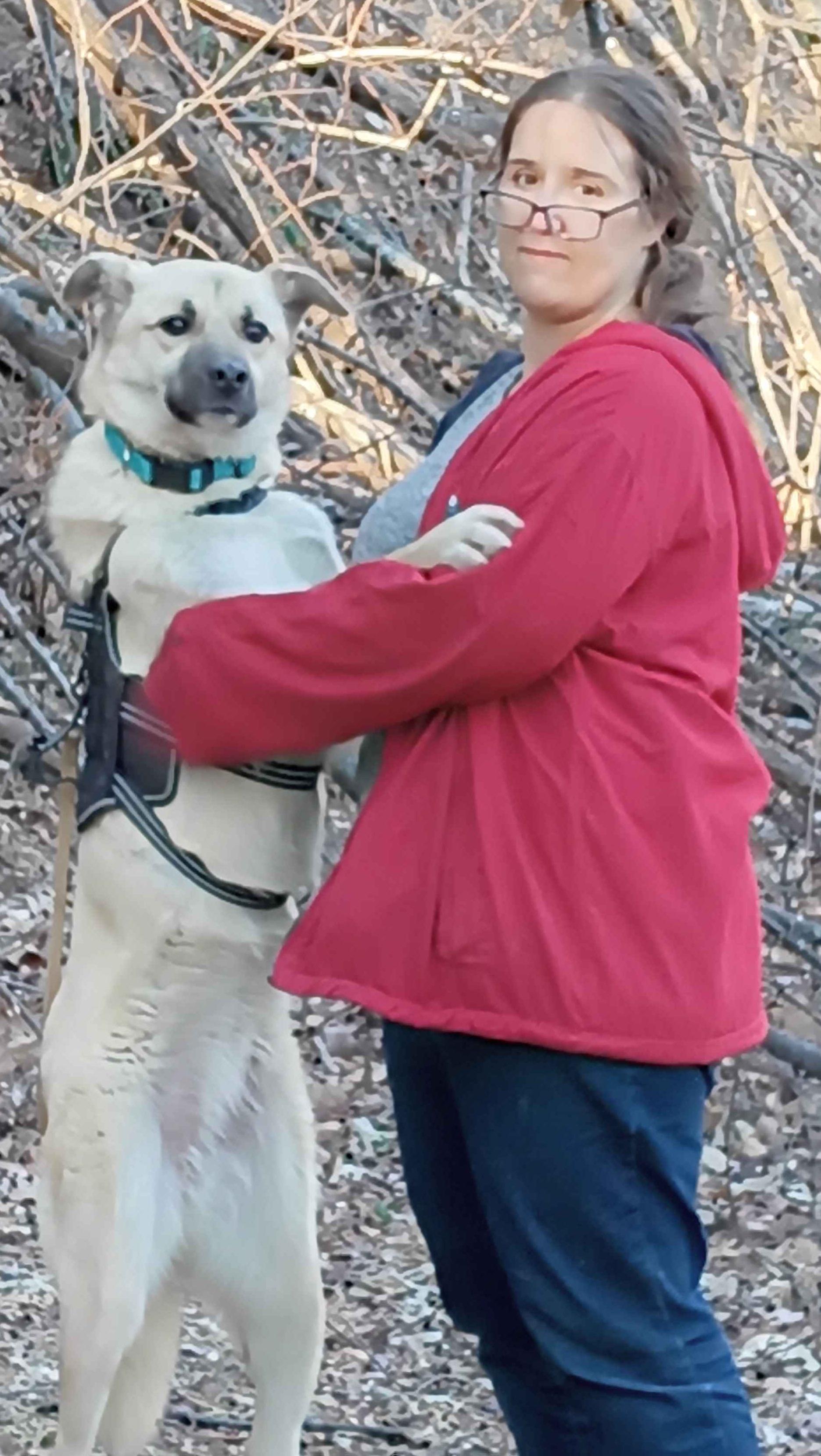 Enlarge Latte, a ADOPTABLE Anatolian Shepherd in Roanoke, VA image 2/4