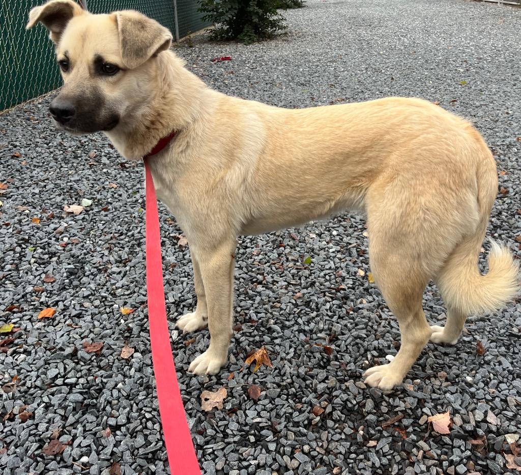 Barkeisha thumbnail 4