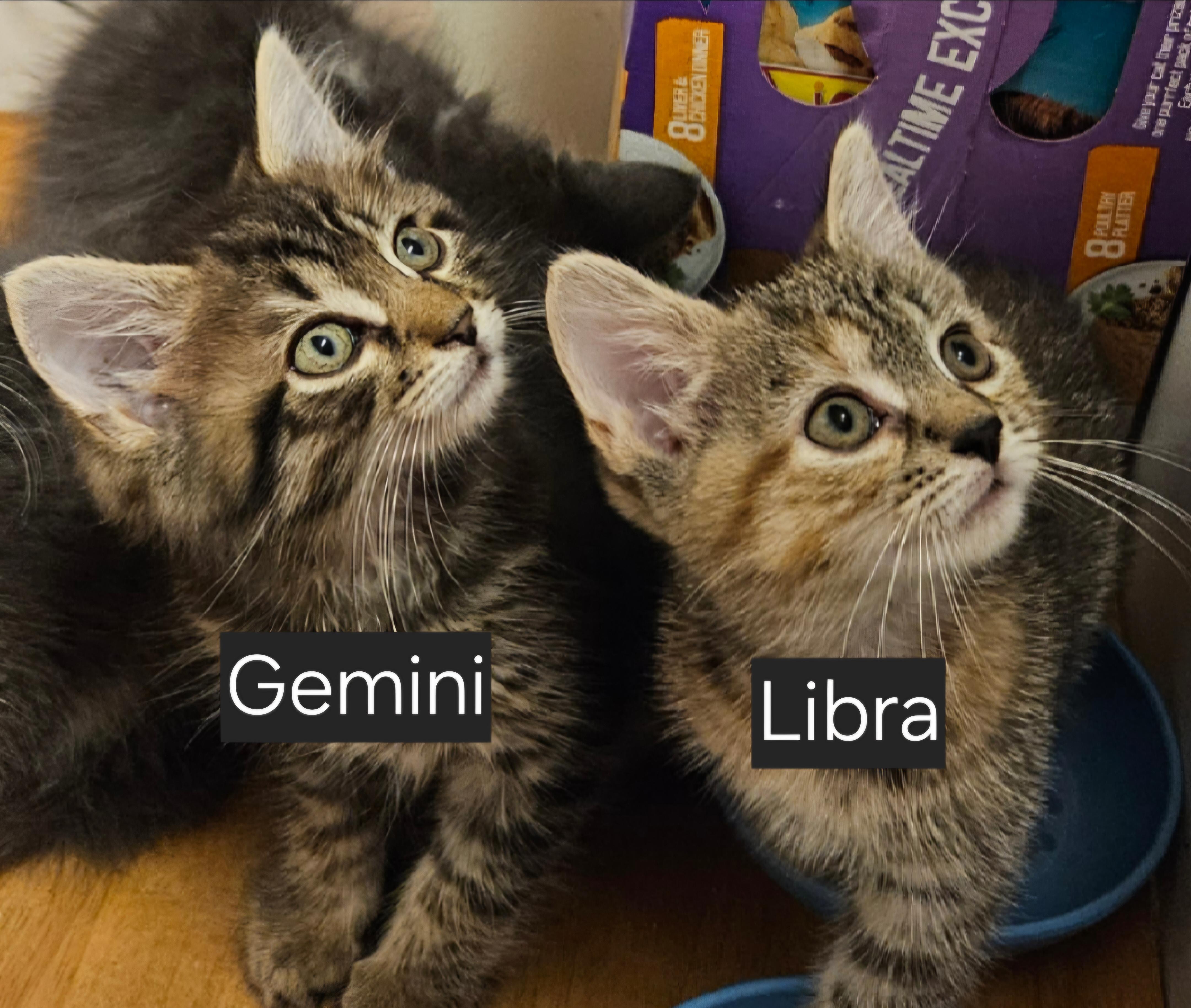 Libra & Gemini-PAIR!