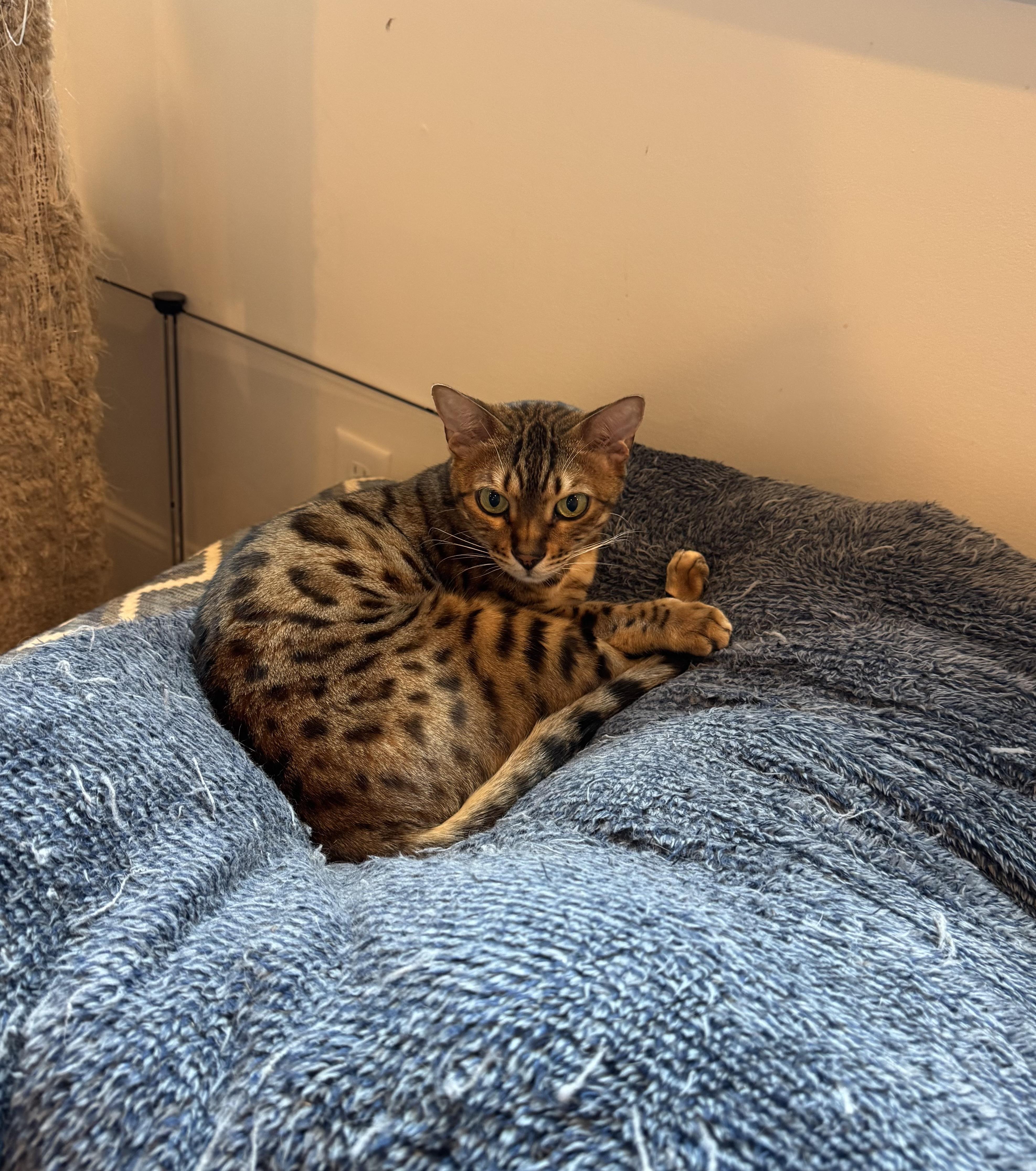 Timmie & Essie (Brother & Sister)