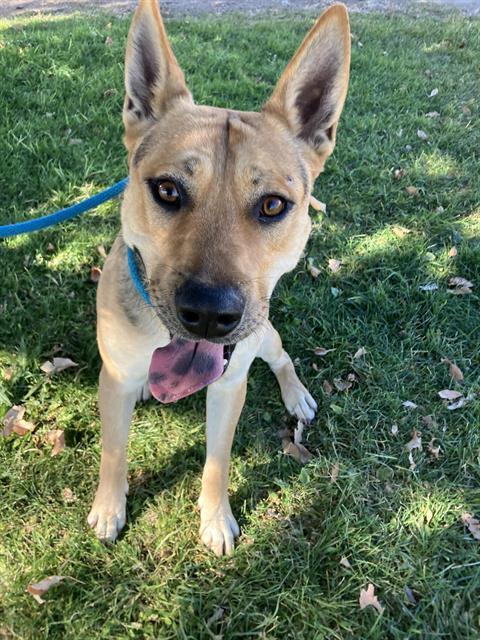 BILLYBOB — thumbnail 2