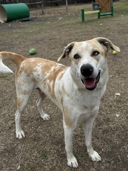 Maybelline — thumbnail 2