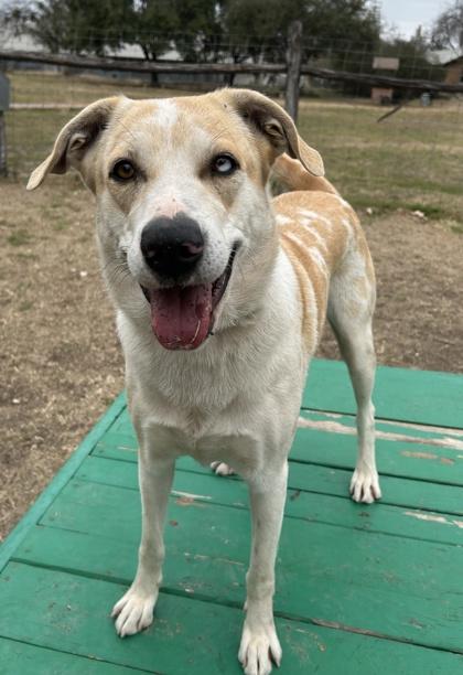 Maybelline — thumbnail 3