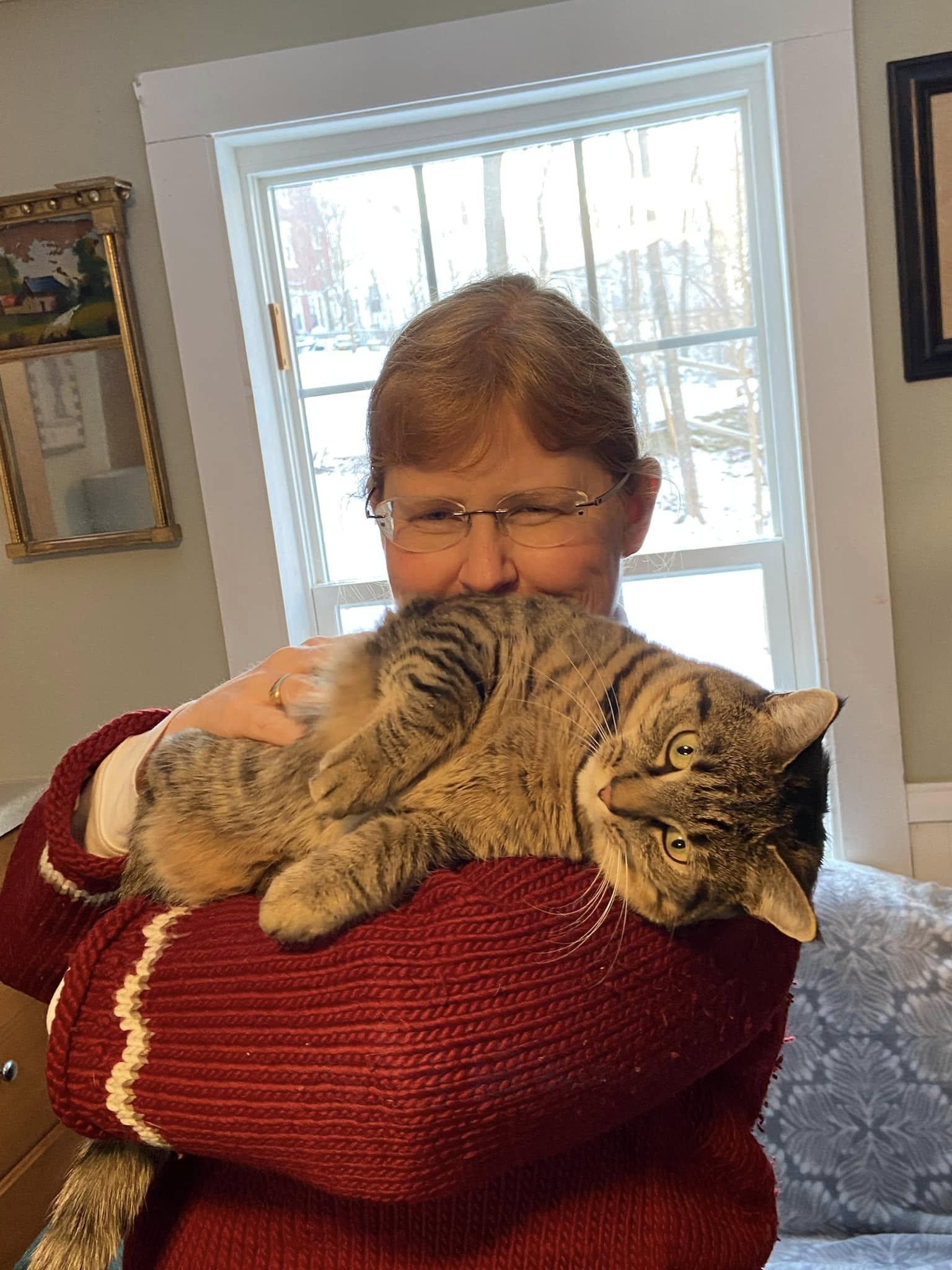 Maple & Sammy (F), an adoptable Tabby, Tiger in Bath, ME, 04530 | Photo Image 6