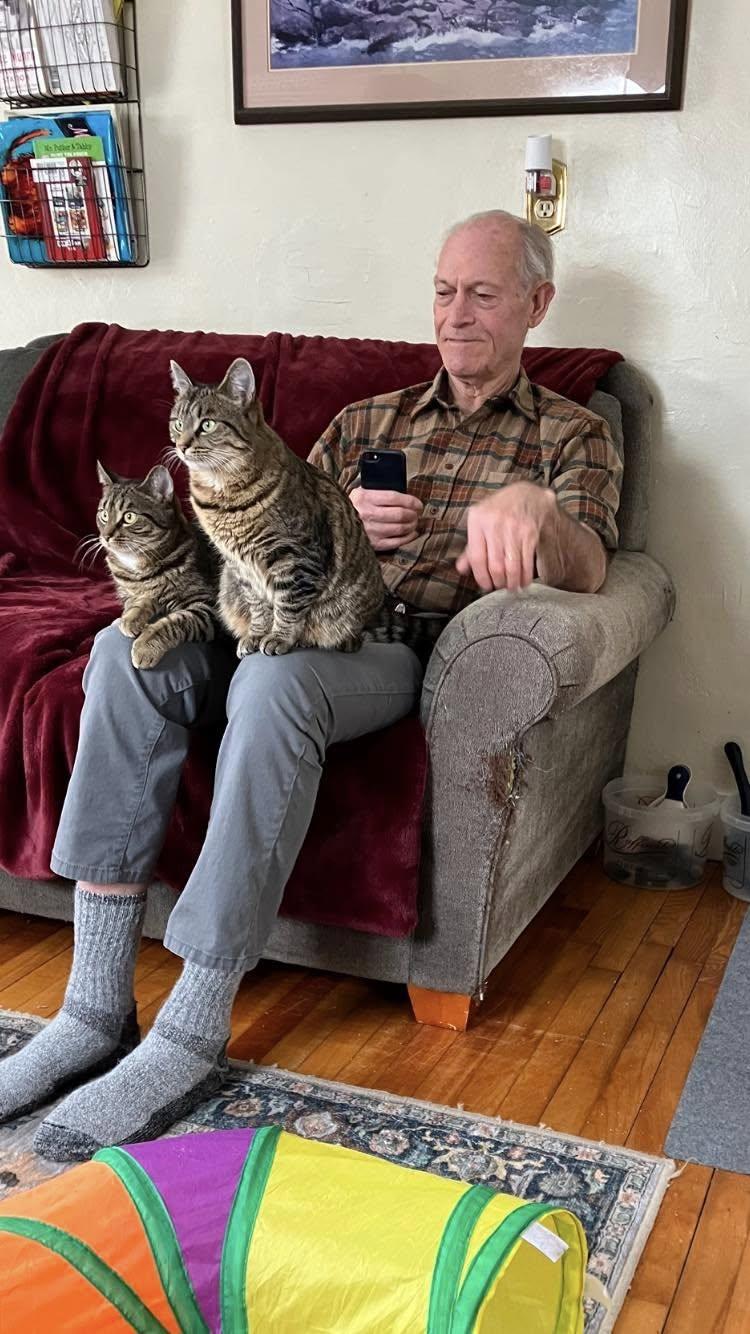 Maple & Sammy (F), a Adopted mixed breed in Bath, ME image 5/6